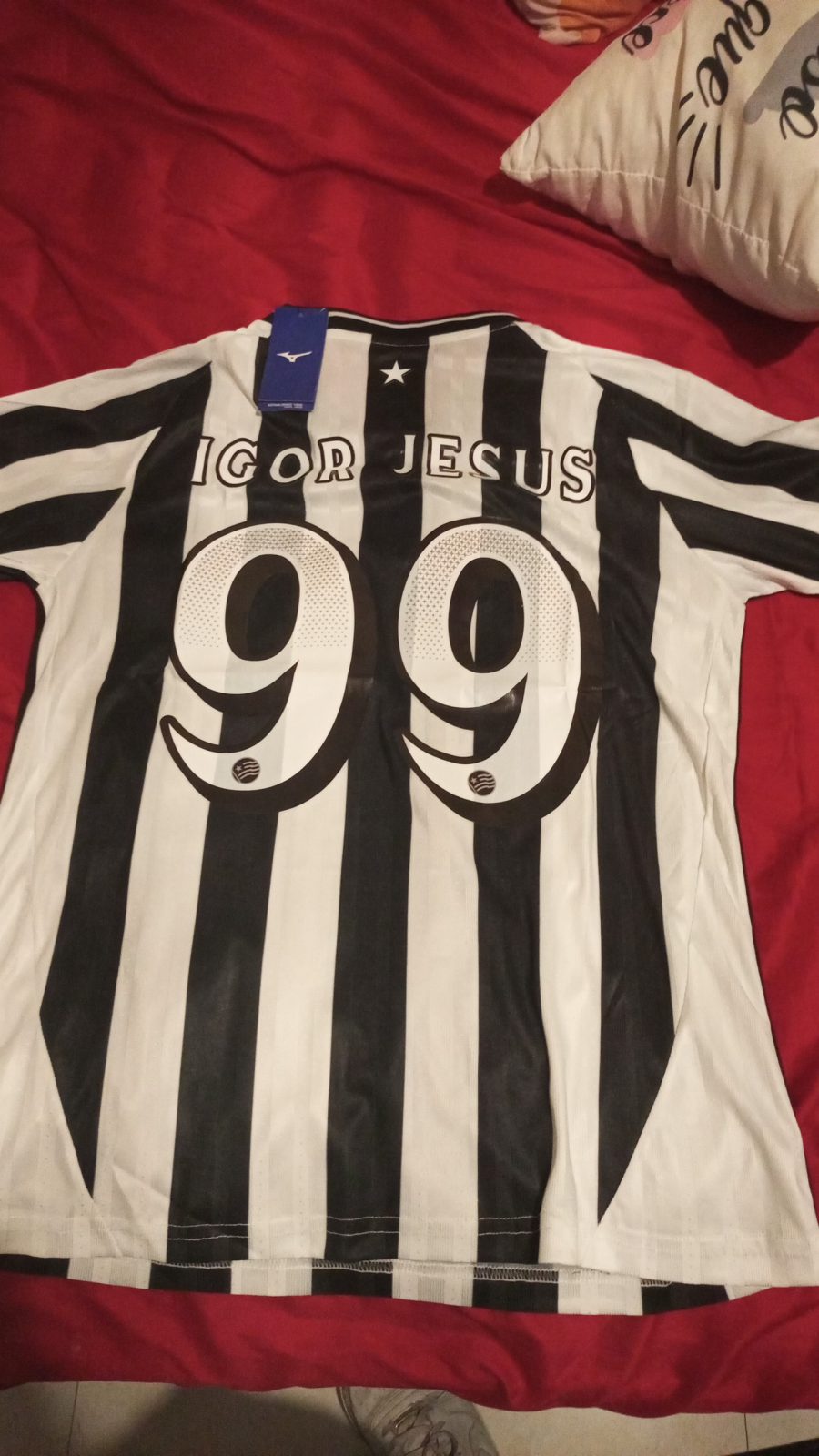 2026/27 Botafogo Home Jersey Fan Version