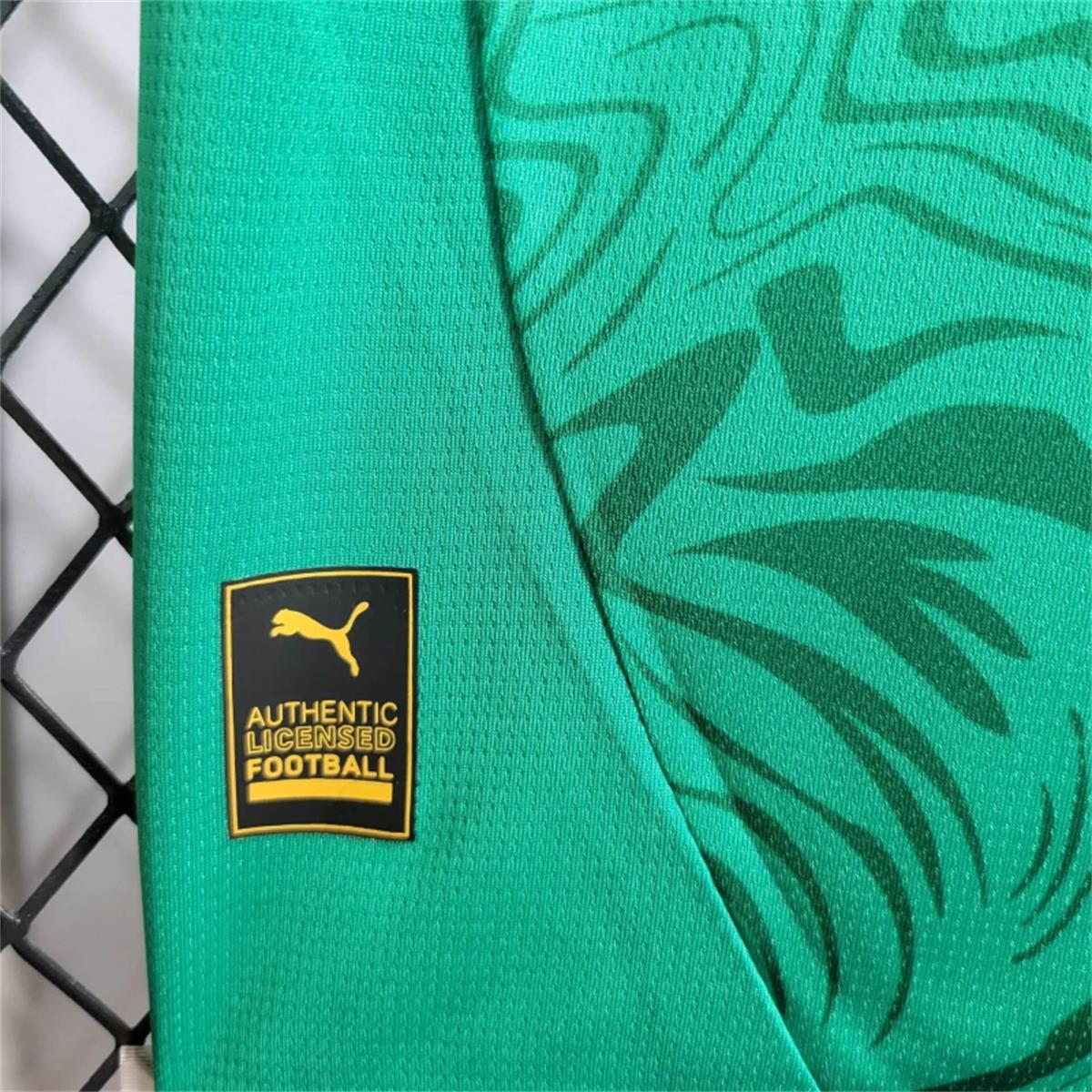 2024/25 Senegal Away Jersey Fan Version