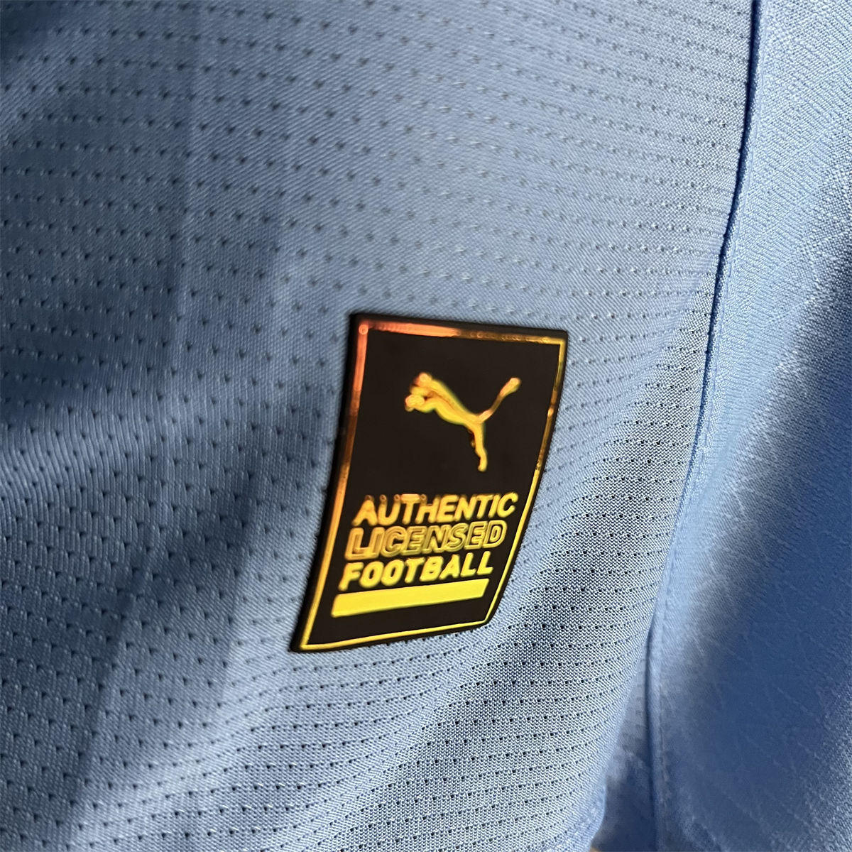 24/25 Manchester City Home Jersey Long Sleeve Player Version