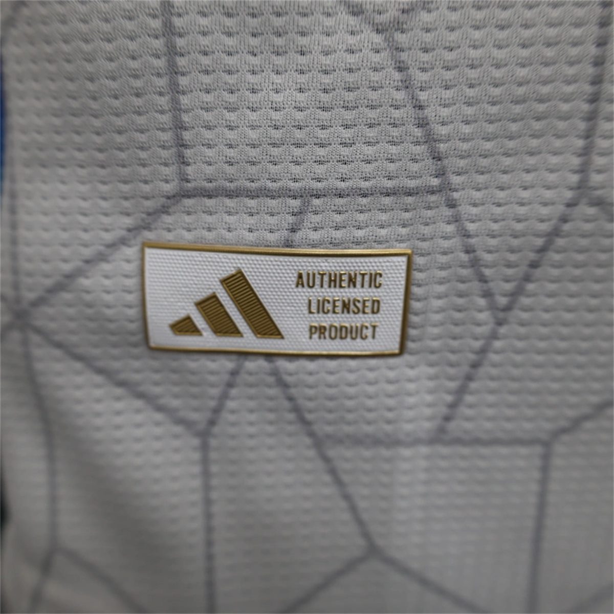 24/25 Algeria national Special Edition jersey Player Version