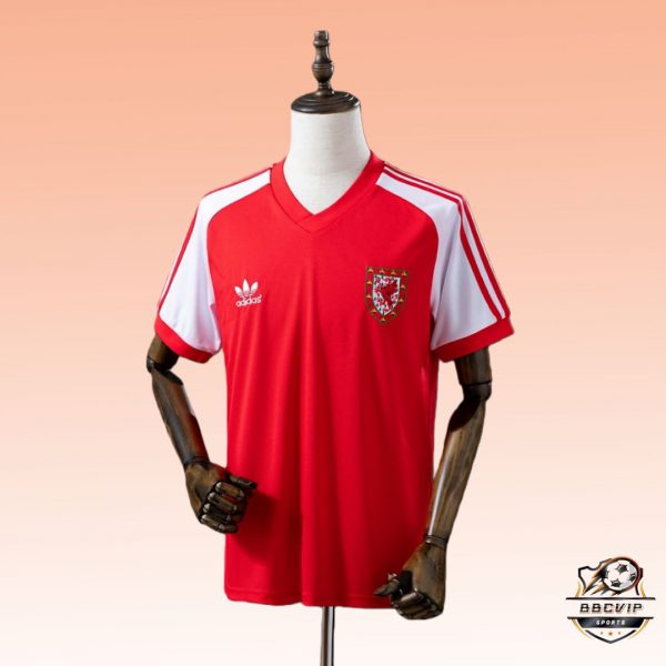 Retro Wales 1982 Home jersey Fan Version