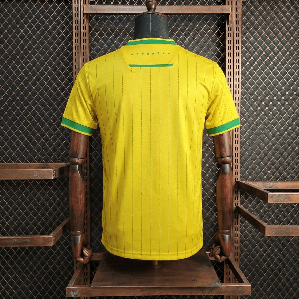 2025/26 FC Nantes Home Jersey Fan Version