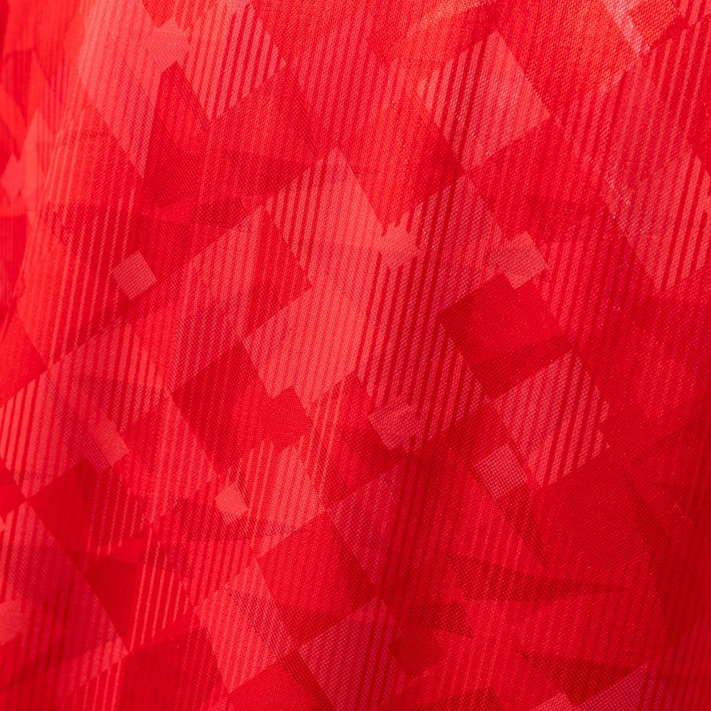 Retro Wales 1990/92 Home jersey Fan Version