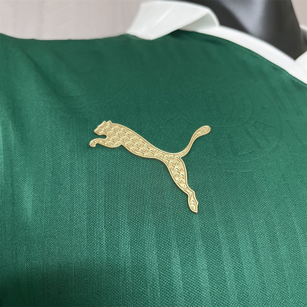 2024/25 Palmeiras Home Jersey Player Version