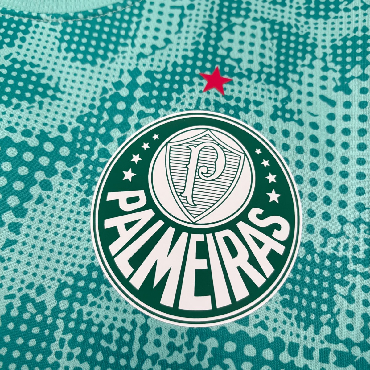 2026/27 Palmeiras Goalkeeper Green Jersey Fan Version