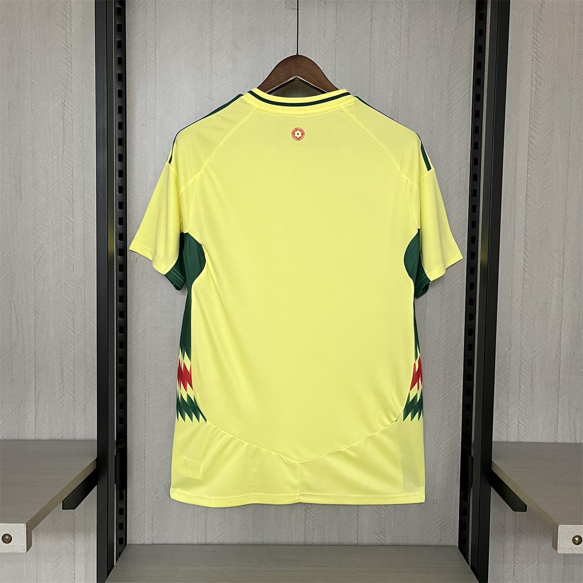 2024/25 Wales Away Jersey Fan Version