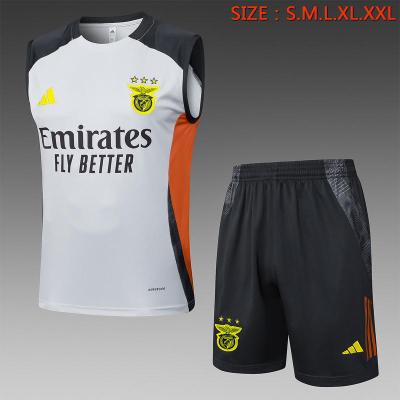 24/25 Benfica Grey Training Set Shirt and Shorts