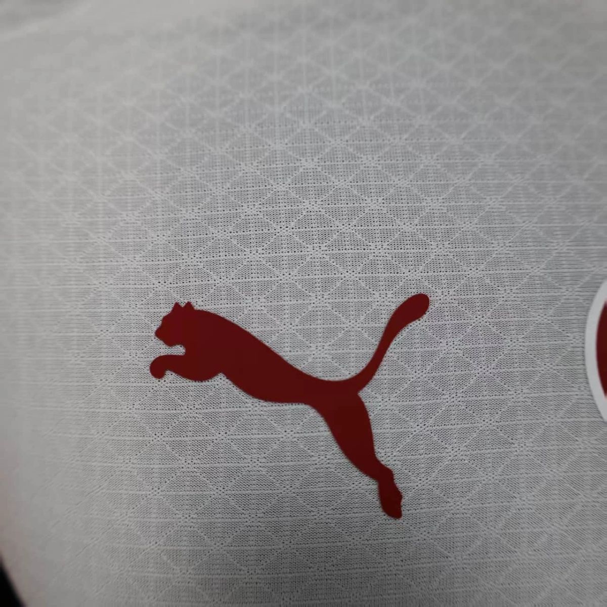 2025/26 Galatasaray Away Jersey Player Version