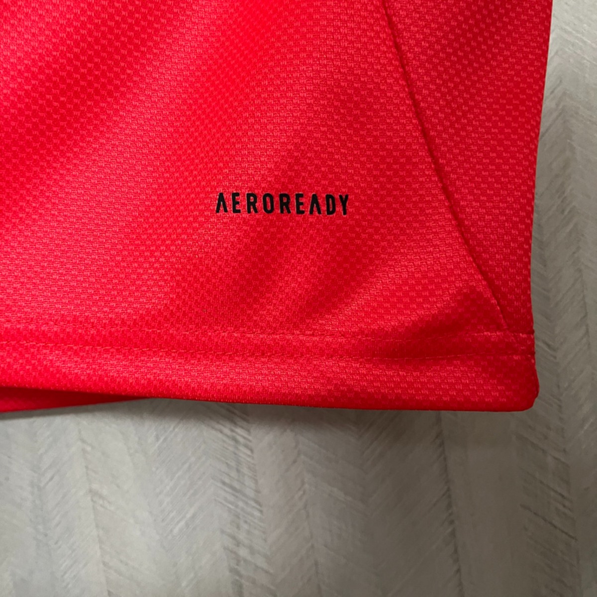 2025/26 Benfica Home jersey Fan version