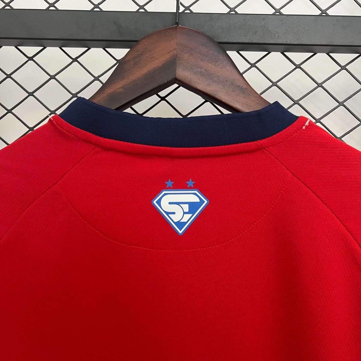 2025/26 Bahia Goalkeeper Red jersey Fan version