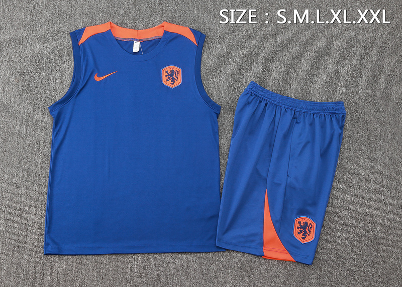 24/25 Netherlands Colorful Blue raining Set Shirt and Shorts
