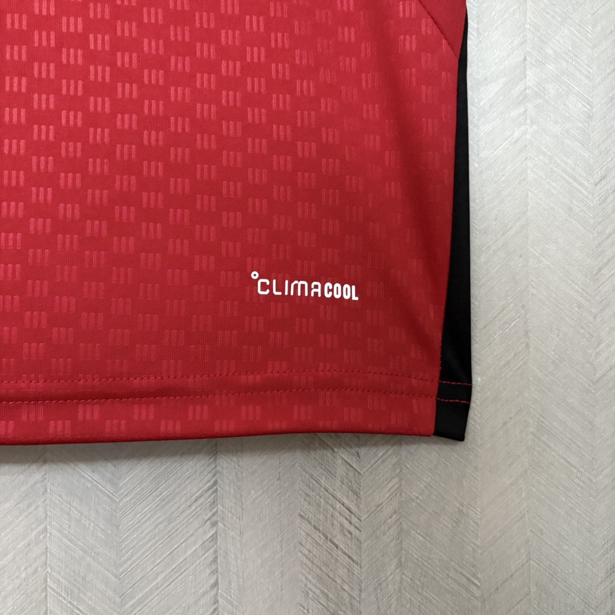 Germany 2026 World Cup Training Red Jersey Fan Version