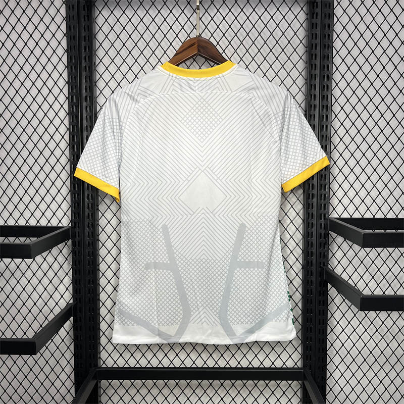 2024/25 Inter Milan Special Edition Jersey Fan Version