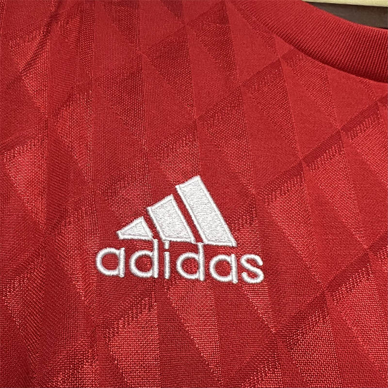 Retro Liverpool 08/09 Champions League home jersey Fan Version