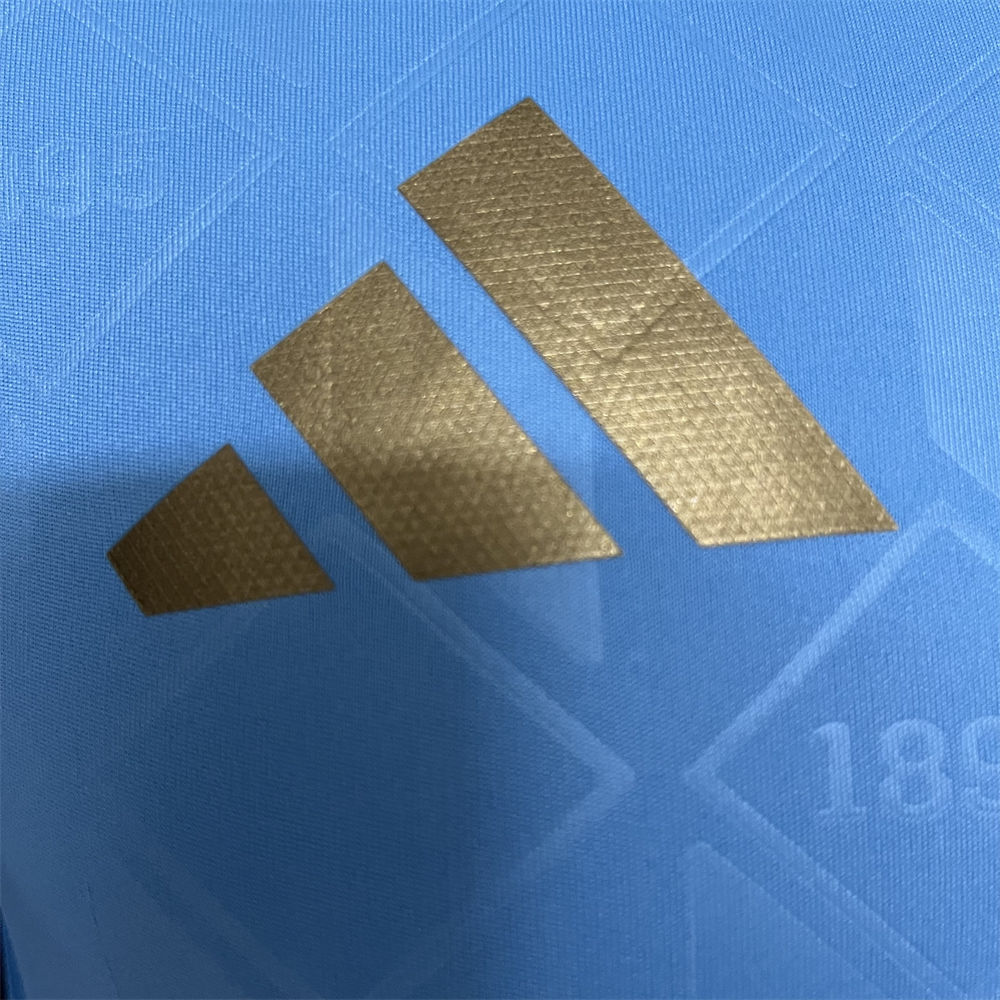 24/25 Belgium Euro Away Jersey Player Version