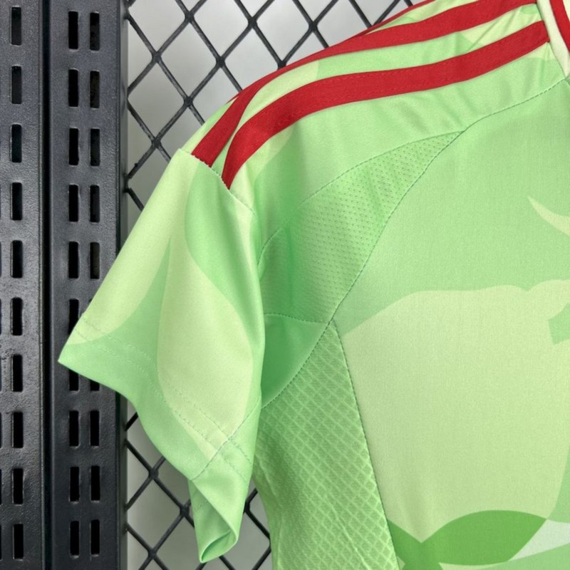2025/26 Italy special edition Women's Jersey Fan Version