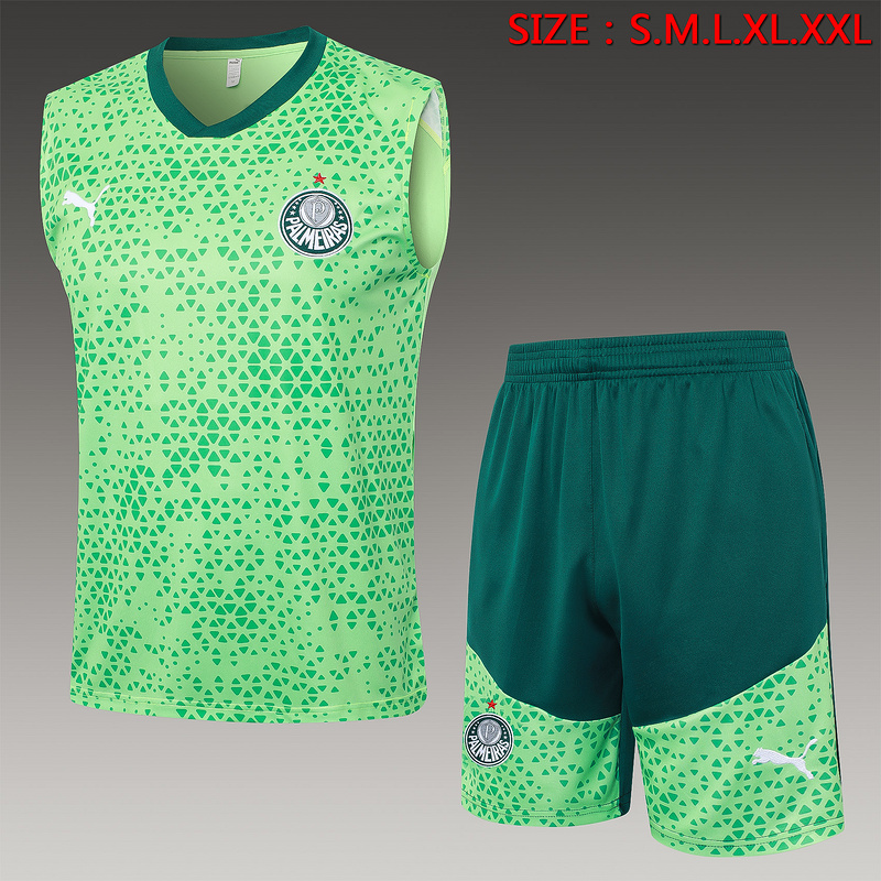 24/25 Palmeiras Green raining Set Shirt and Shorts