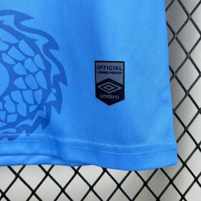 2025/26 Santos Blue Dragon Special Edition jersey Fan version