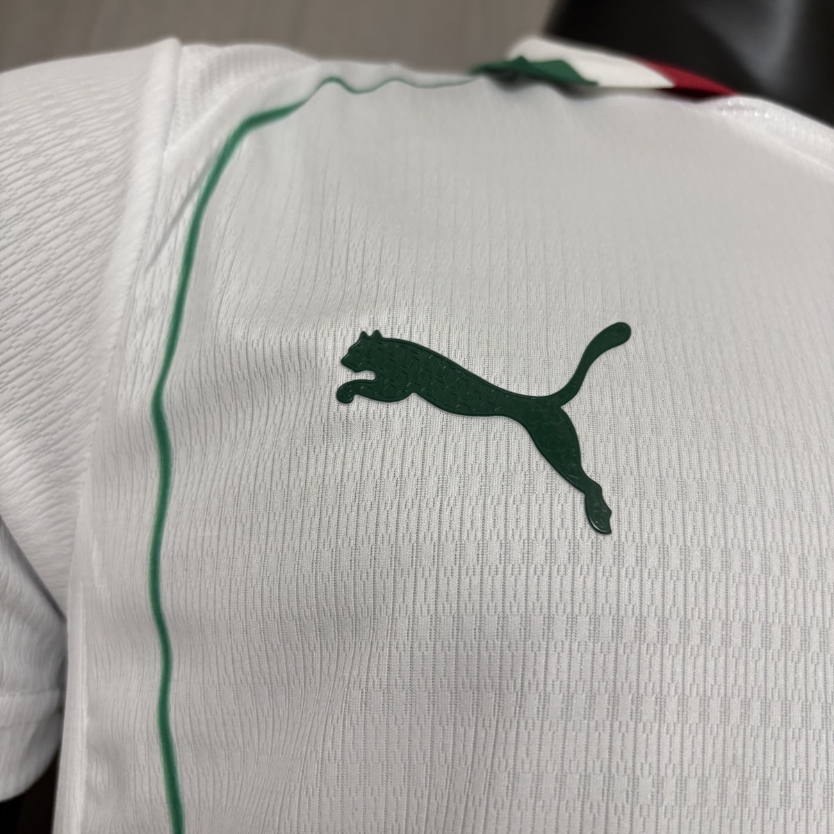 2026/27 Palmeiras Away Jersey Player Version