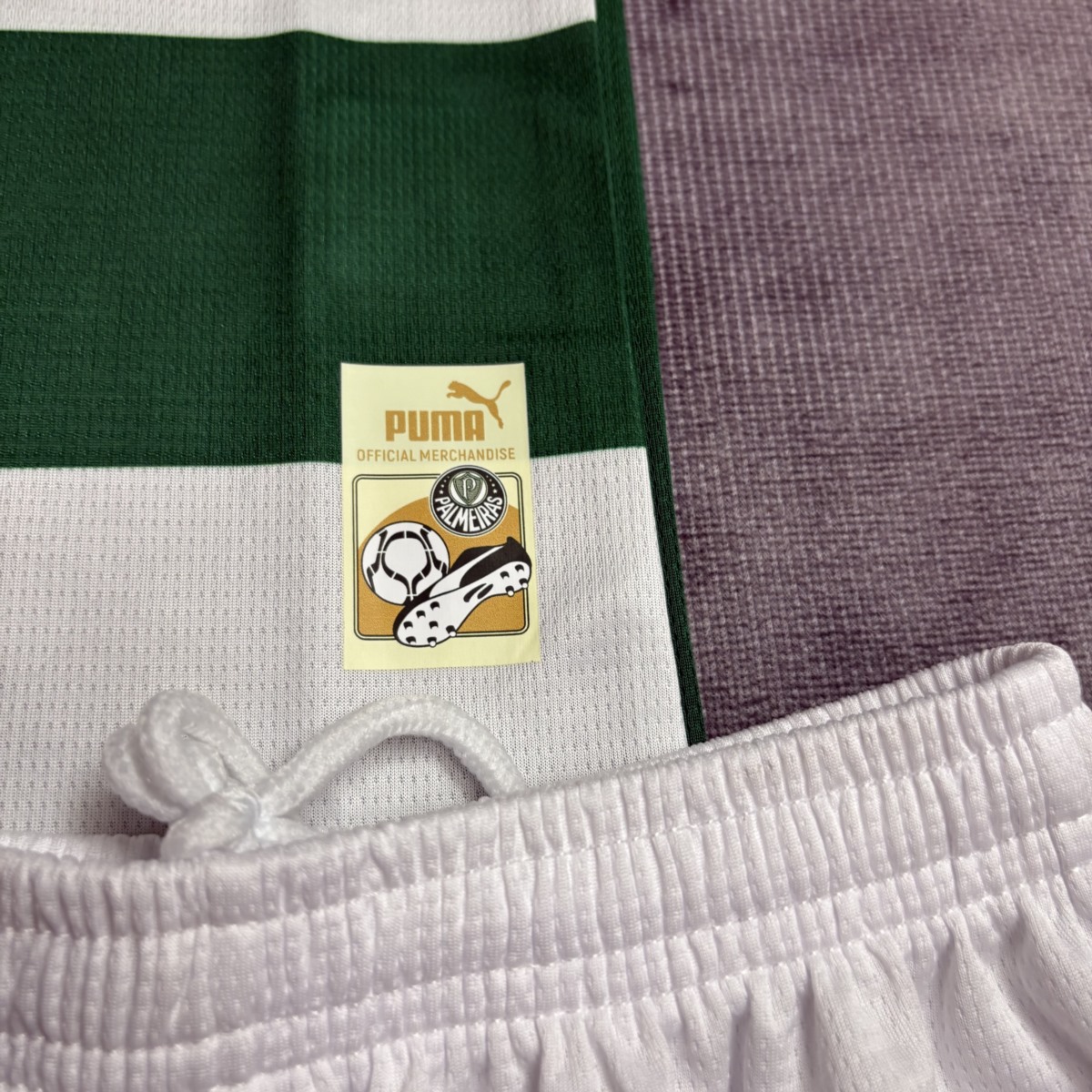 25/26 Palmeiras Special Edition Green jersey Kid Kits size: 16-28