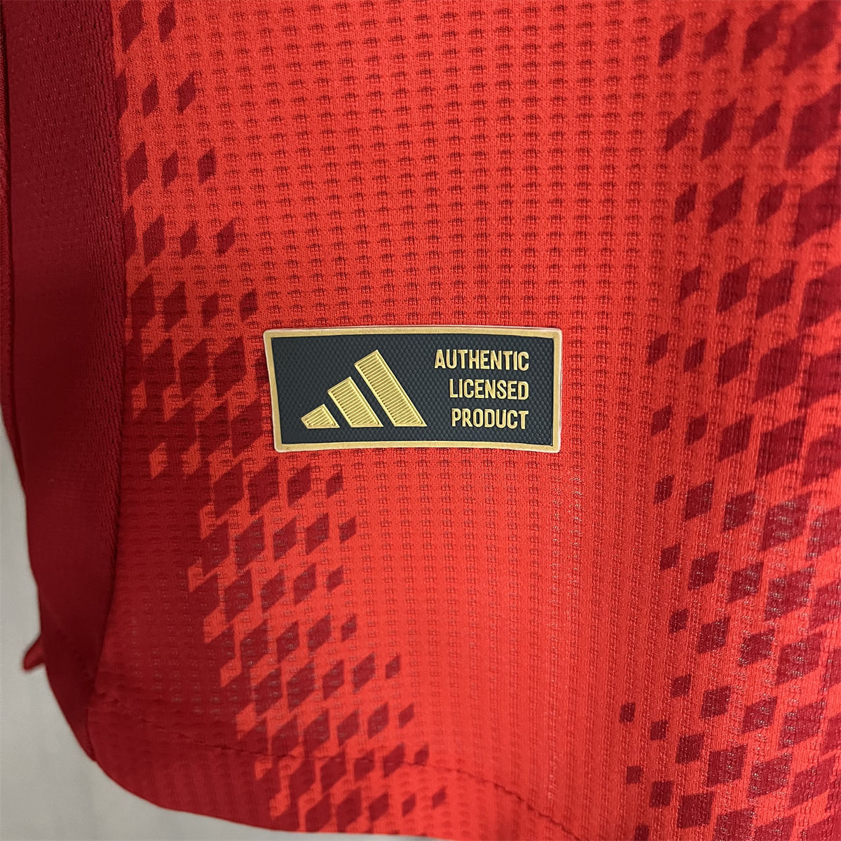 24/25 Bayern Munich Home Jersey Player Version