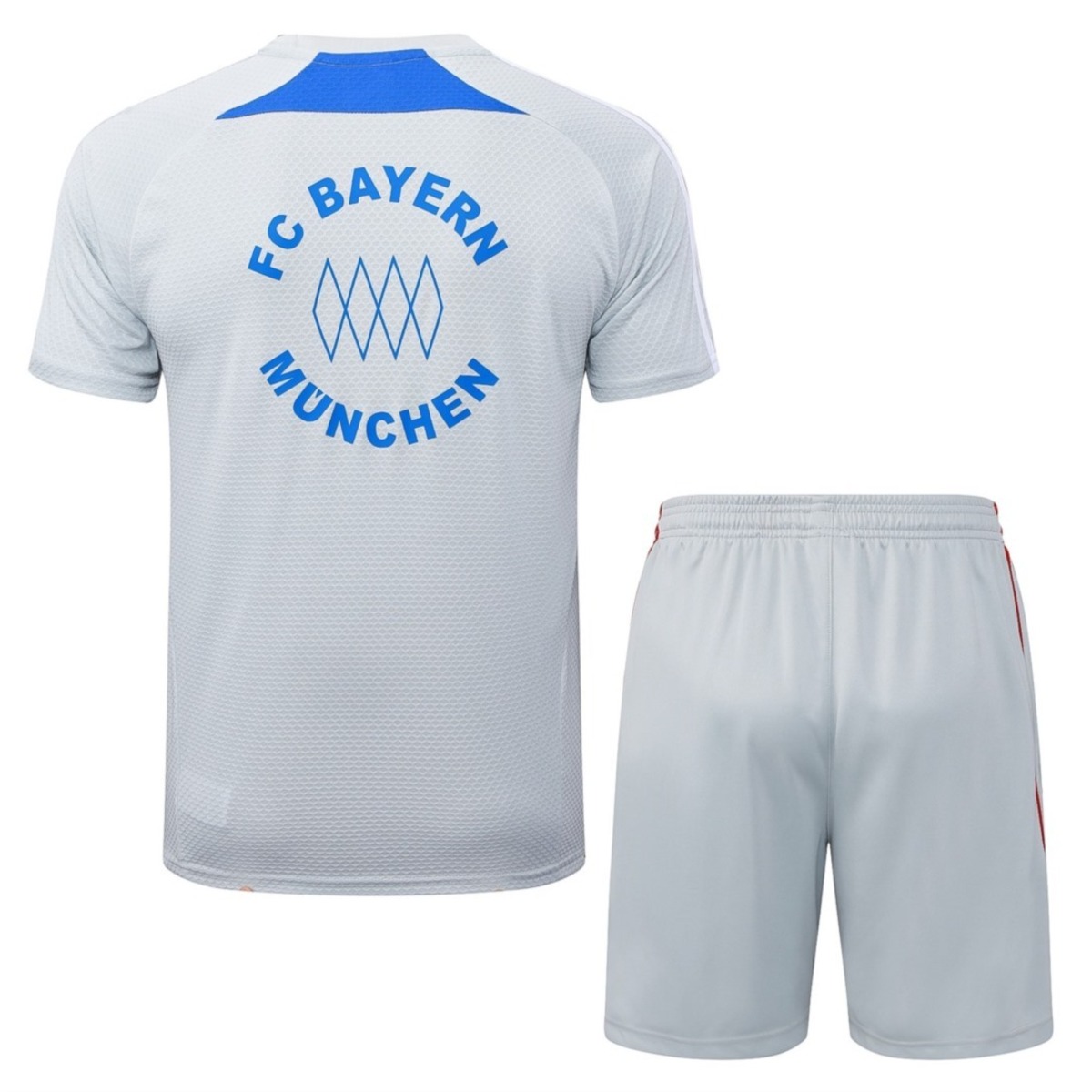 2026 Bayern Munich Grey Training Set Shirt and Shorts