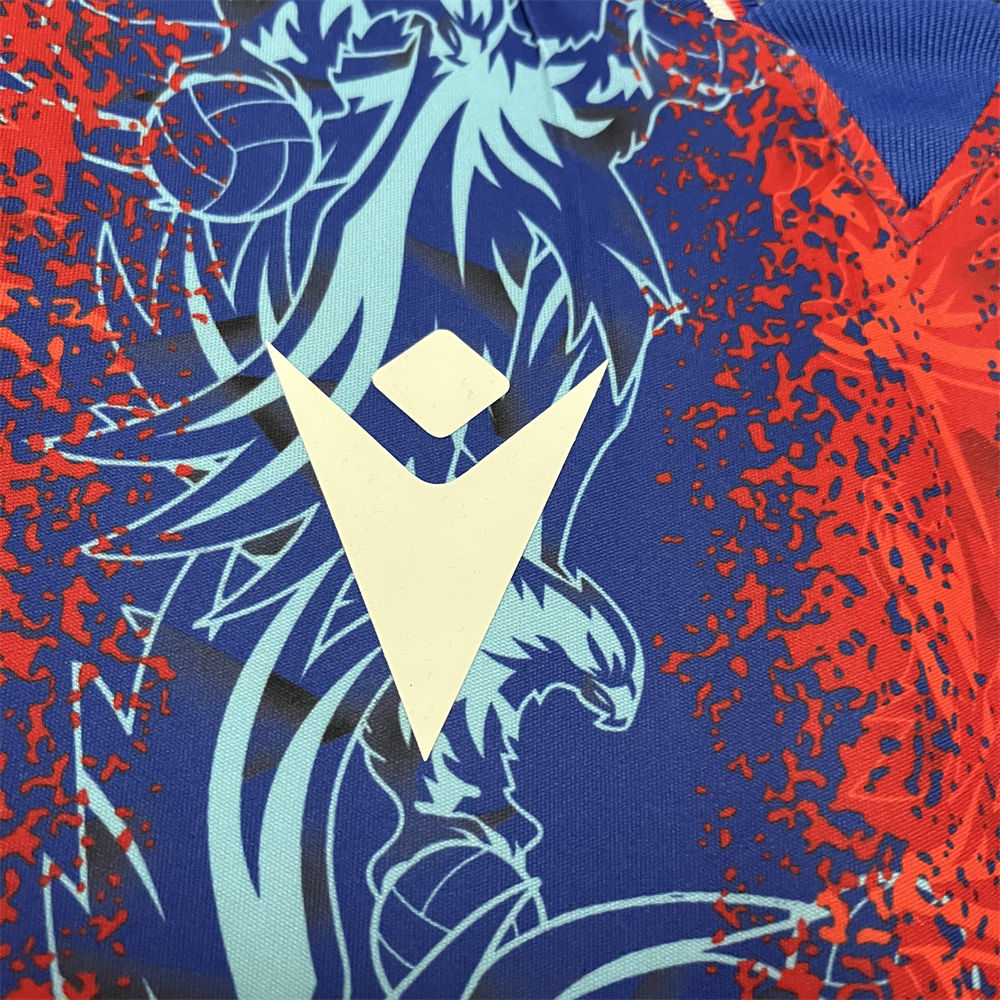 2024/25 Crystal Palace Home Jersey Fan Version