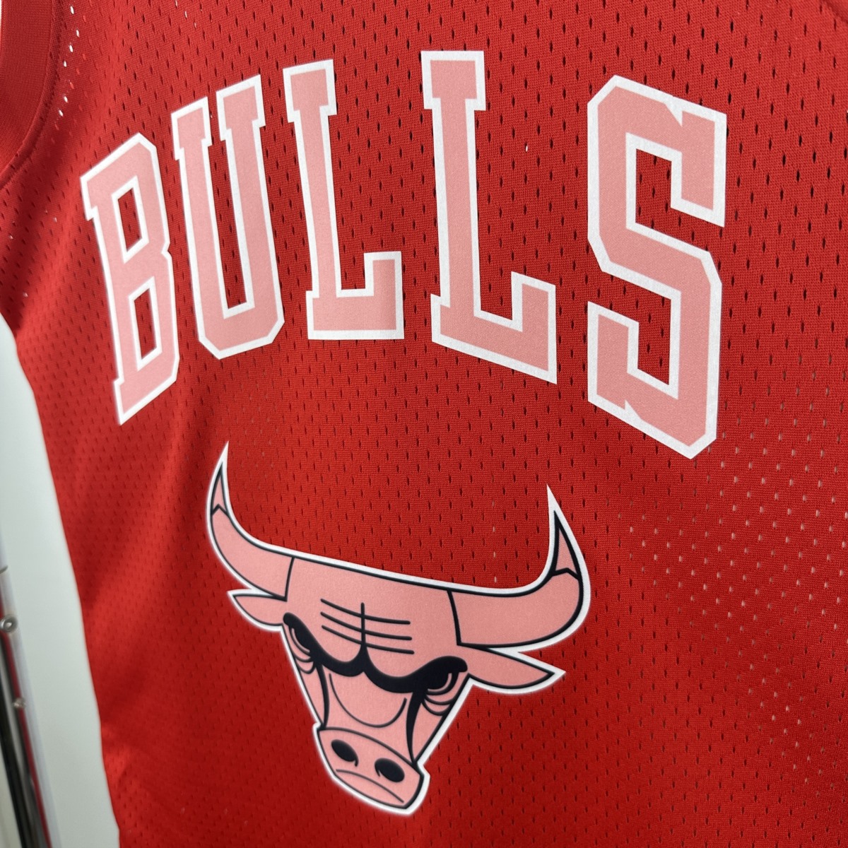 NBA Chicago Bulls Chicago Bulls ×Blackpink Jersey #16