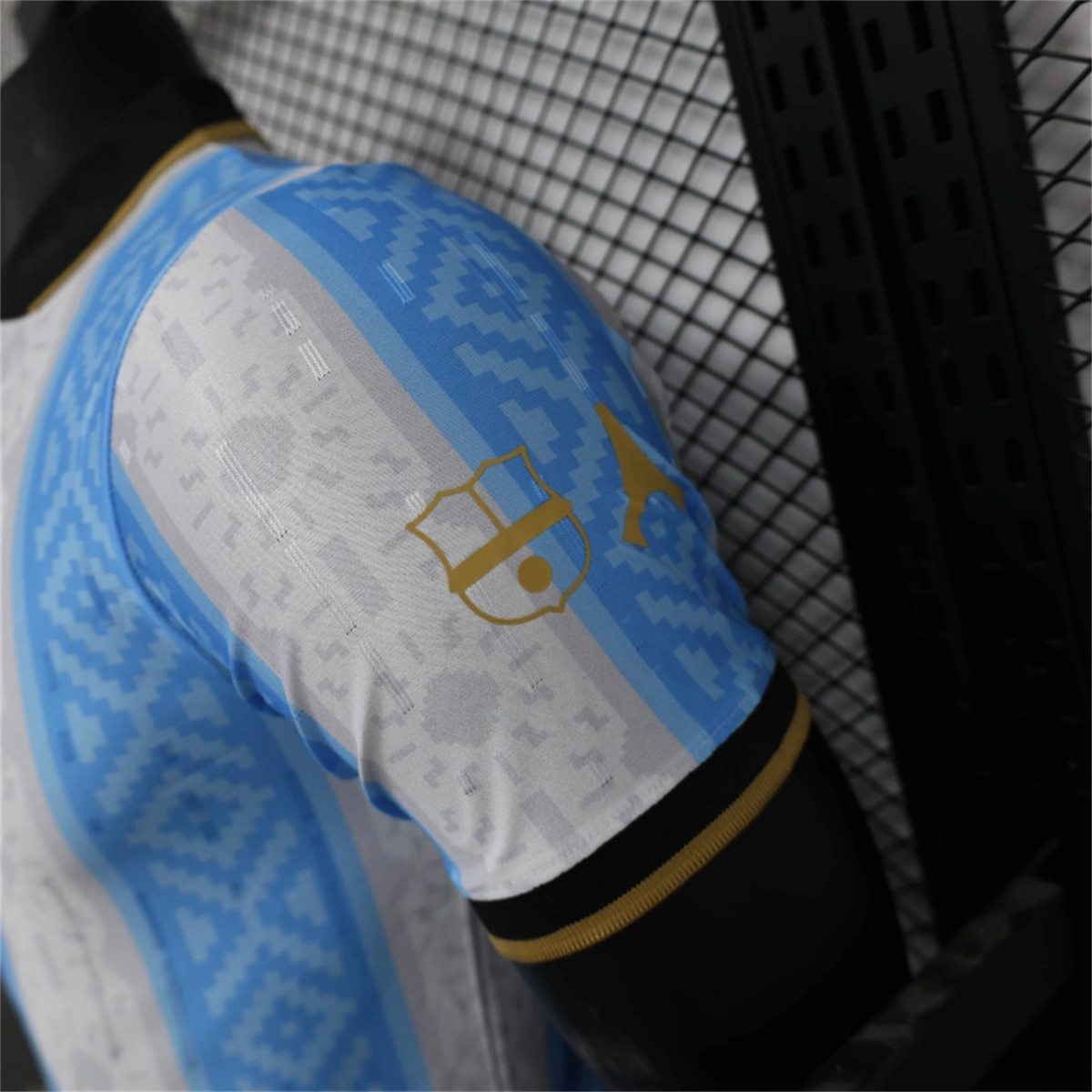 25/26 Argentina Special edition jersey Player Version