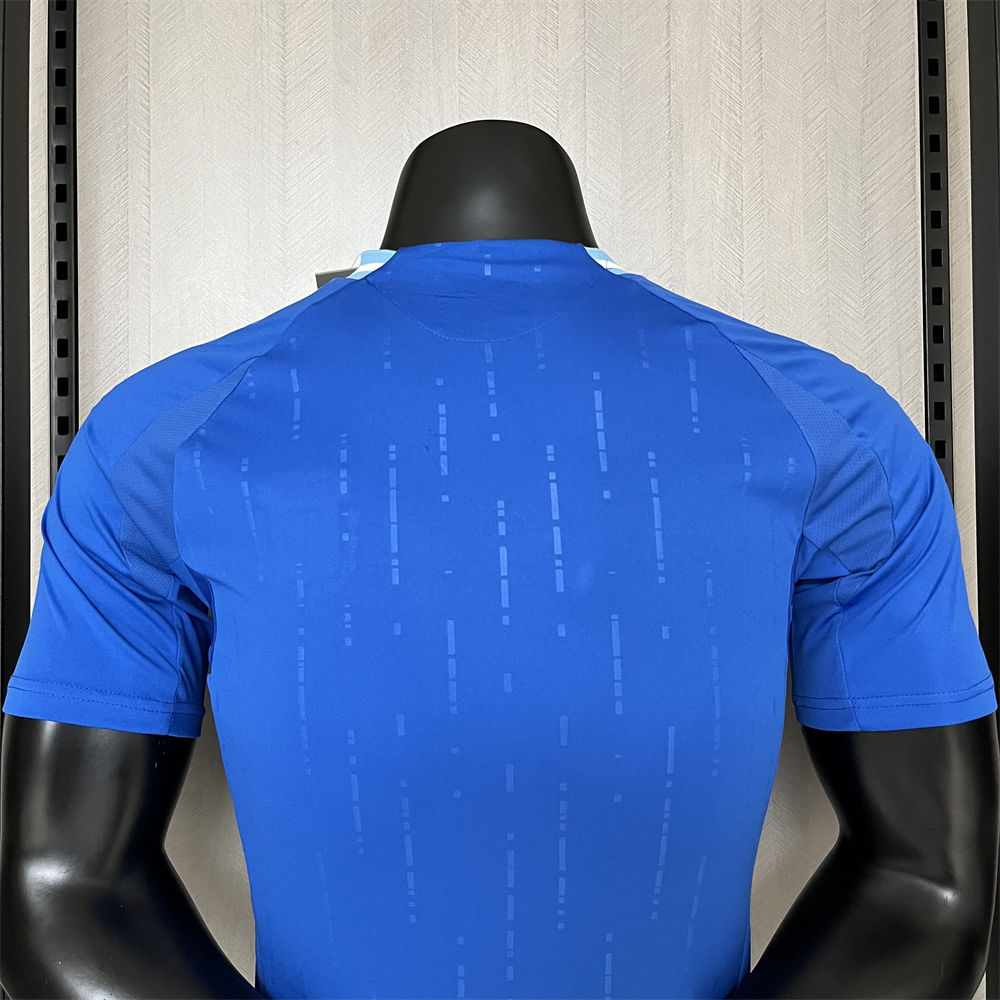 24/25 Argentina Away Jersey Player Version