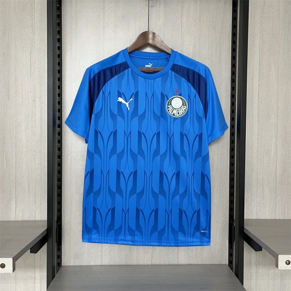 2024/25 Palmeiras Blue Pre-Match Training jersey Fan Version