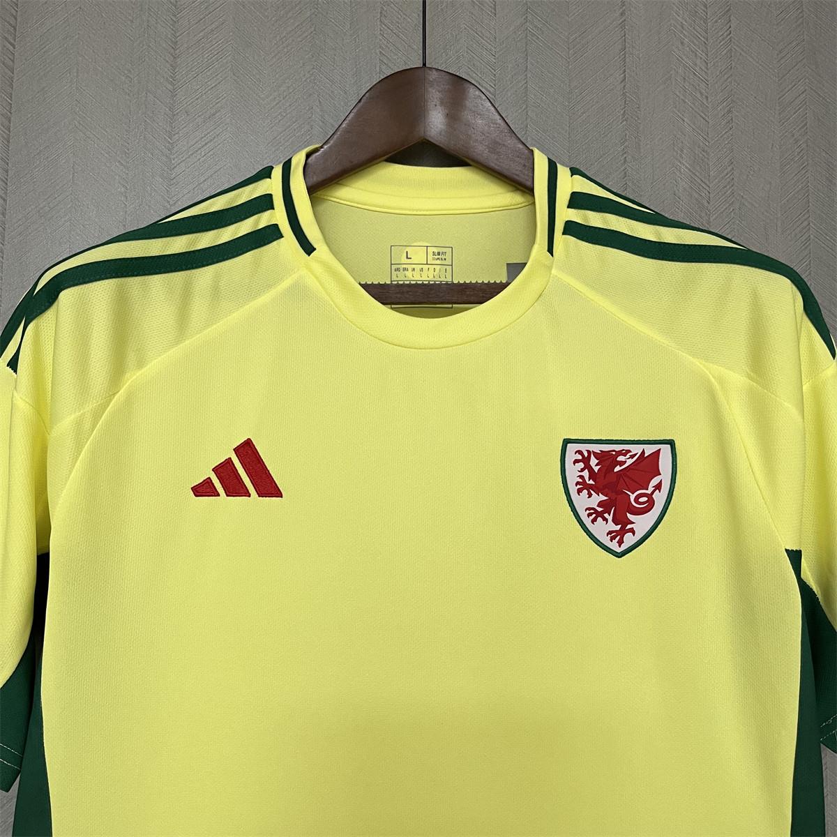 2024/25 Wales Away Jersey Fan Version