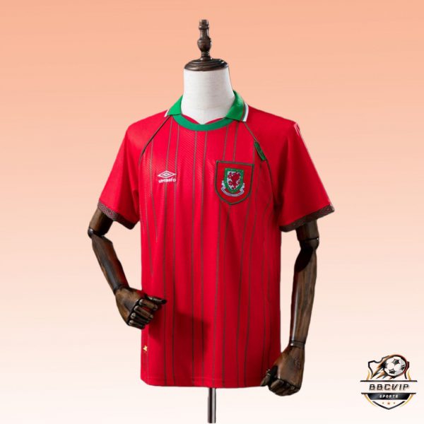 Retro Wales 1994/96 Home jersey Fan Version