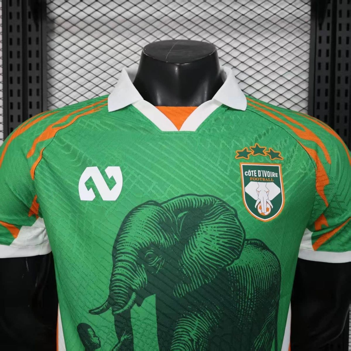 2025/26 Ivory Coast Special edition Green Jersey Player Version