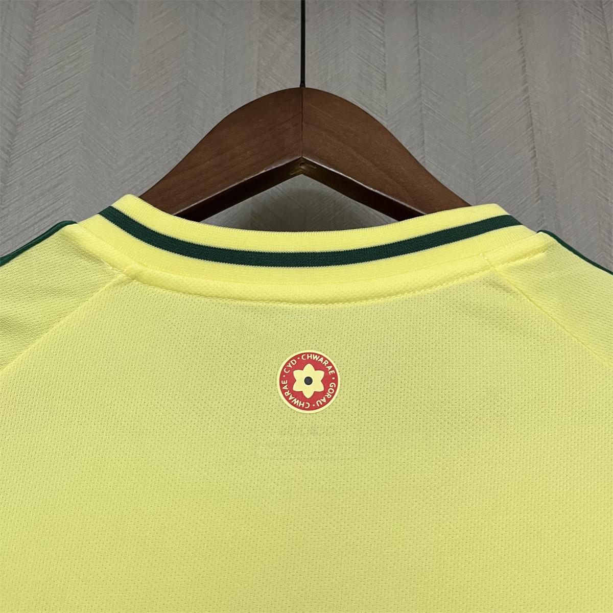 2024/25 Wales Away Jersey Fan Version