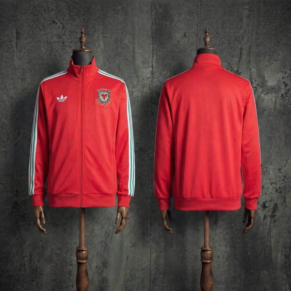 2026/27 Wales Half-Pull long Sleeve Red Hoodie
