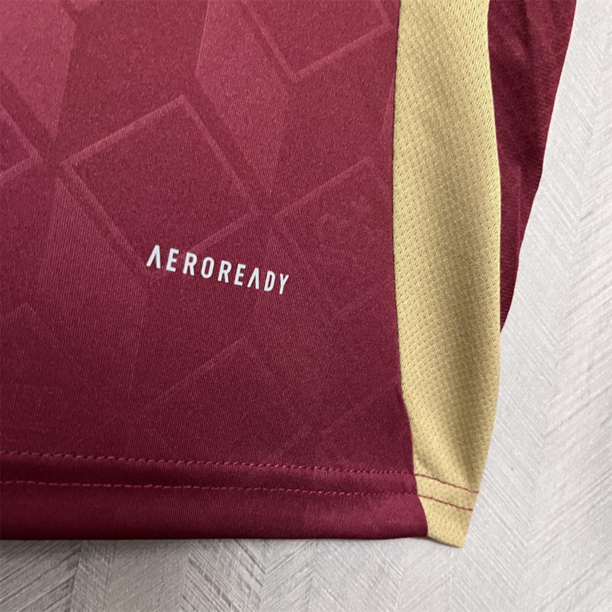 2024/25 Belgium Euro Home Jersey Fan Version