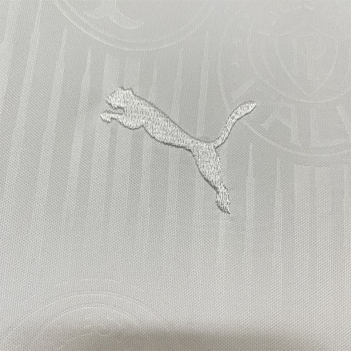 2024/25 Palmeiras Special Edition White jersey Fan Version