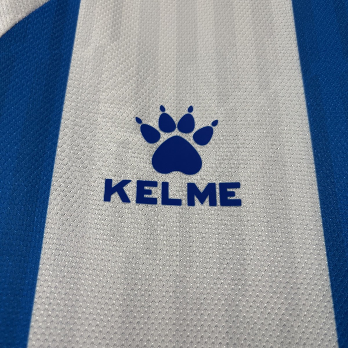 22025/26 RCD Espanyol Home jersey Fan Version
