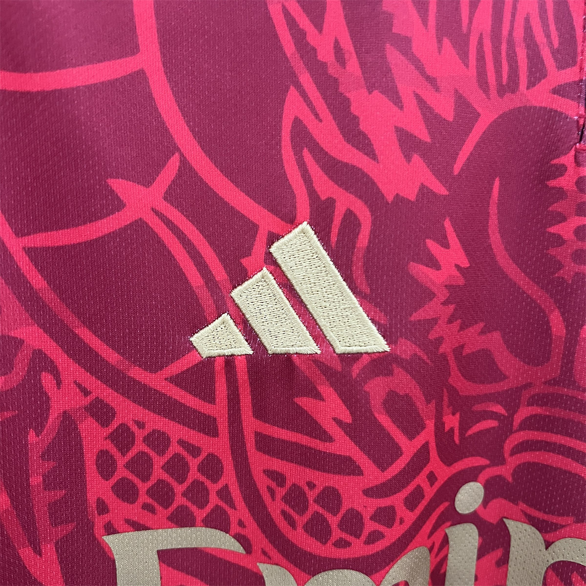 24/25 Real Madrid Special Edition Jersey Fan Version
