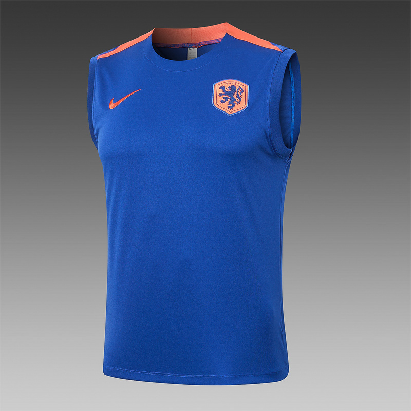 24/25 Netherlands Colorful Blue raining Set Shirt and Shorts