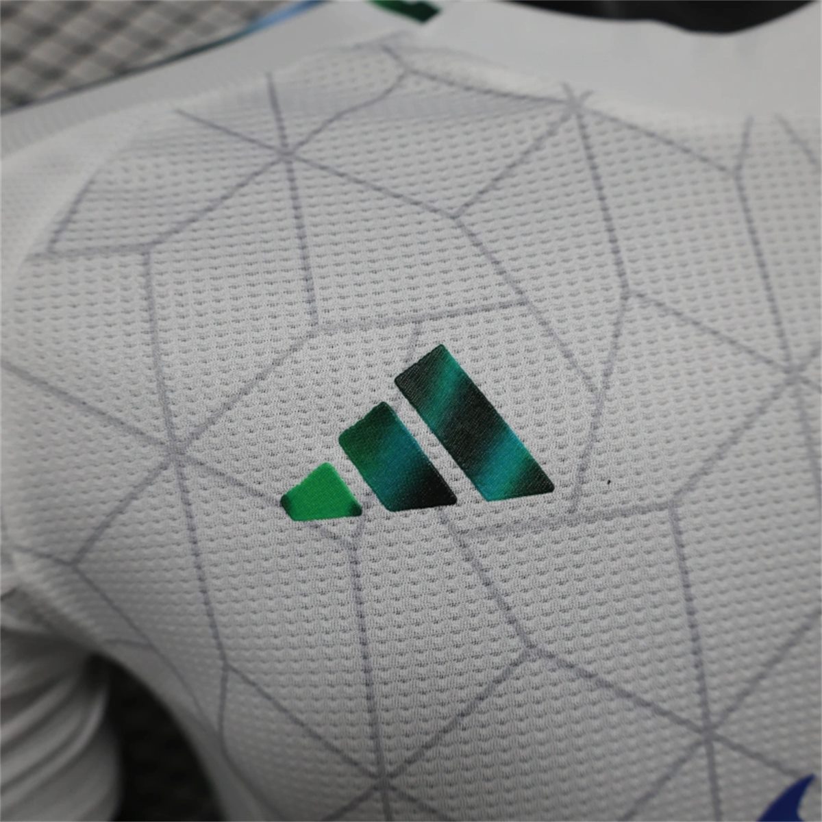 24/25 Algeria national Special Edition jersey Player Version