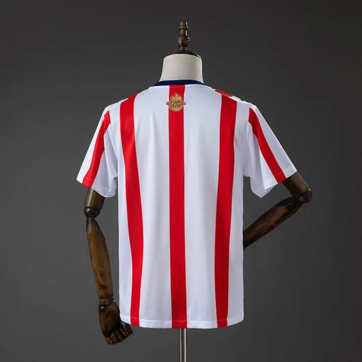 Chivas 120th Aniversario Jersey Fan Version