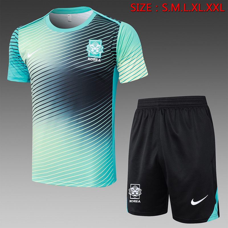 24/25 Korea Turquoise and White Training Set Shirt and Shorts