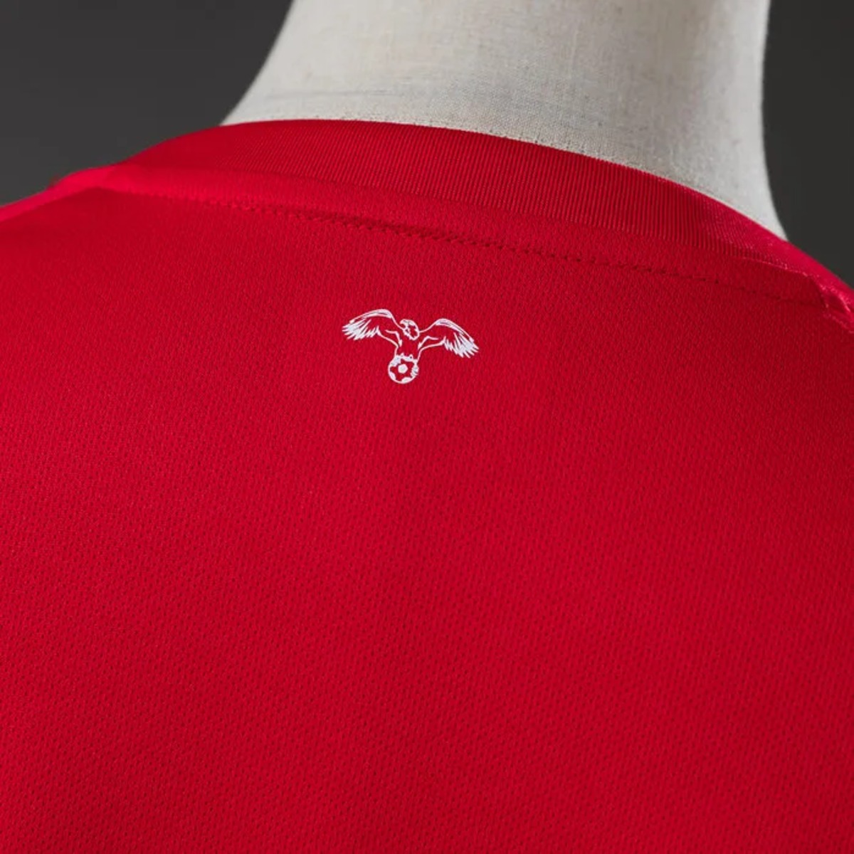 Jordan National Team 2026 World Cup Away Jersey Fan version