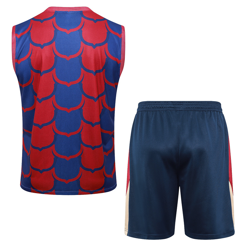 24/25 Barcelona Red Blue Training Set Shirt and Shorts