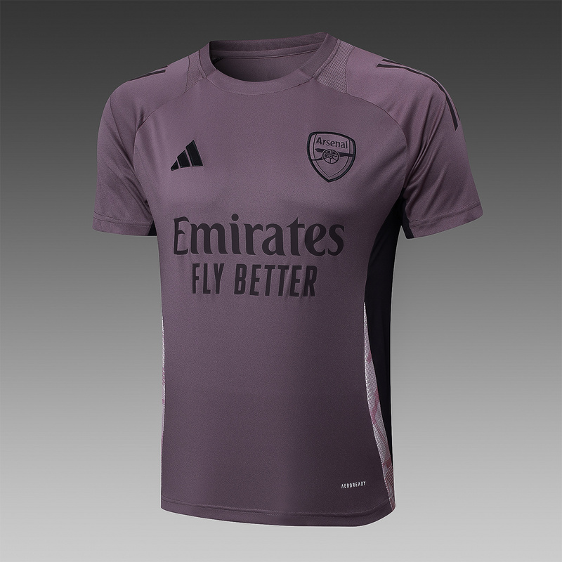 24/25 Arsenal Grey purple Training Set Shirt and Shorts