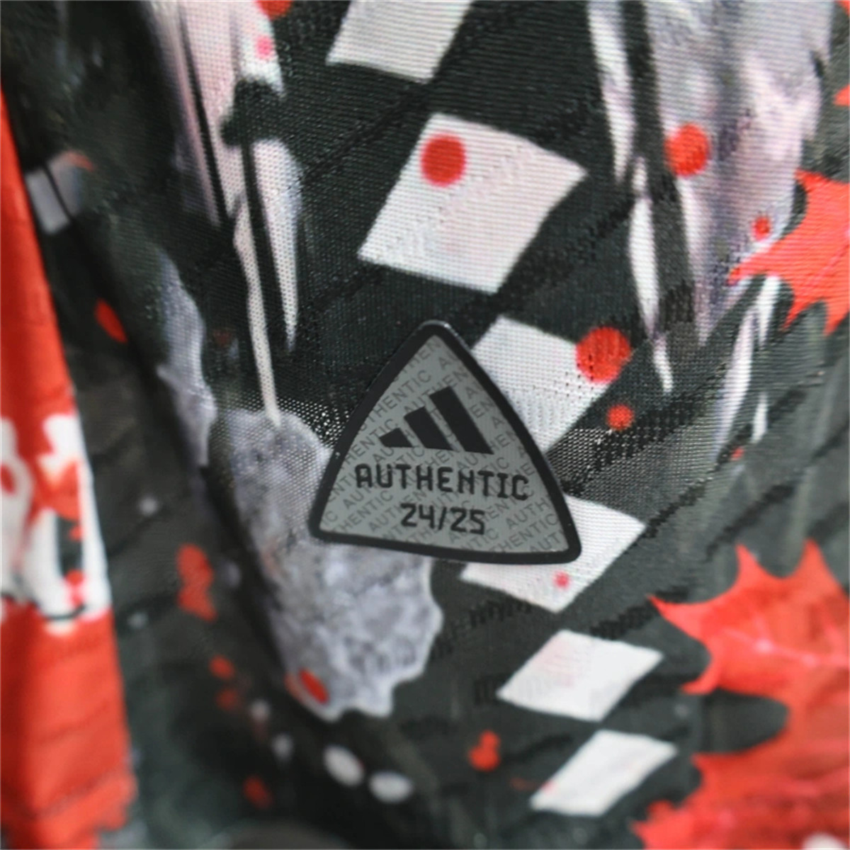 24/25 Japan Dragon Ball Anime Art Special edition Jersey Player Version