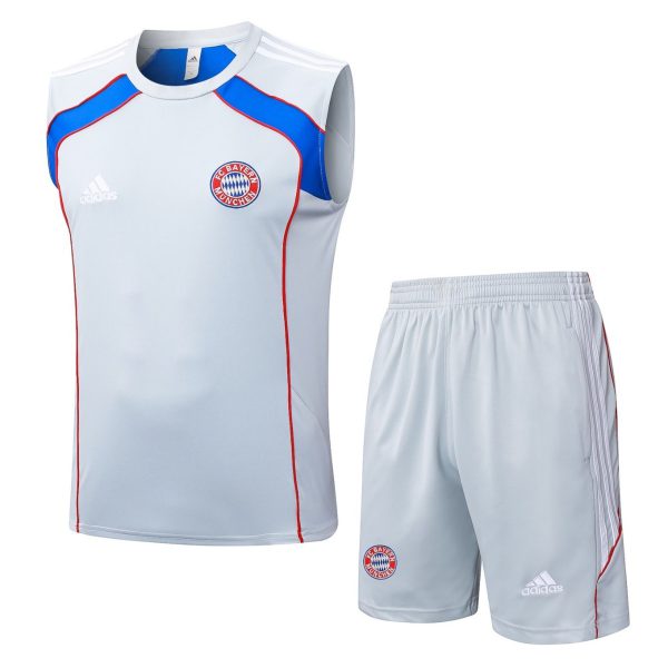 2026 Bayern Munich Grey Training Set Shirt and Shorts