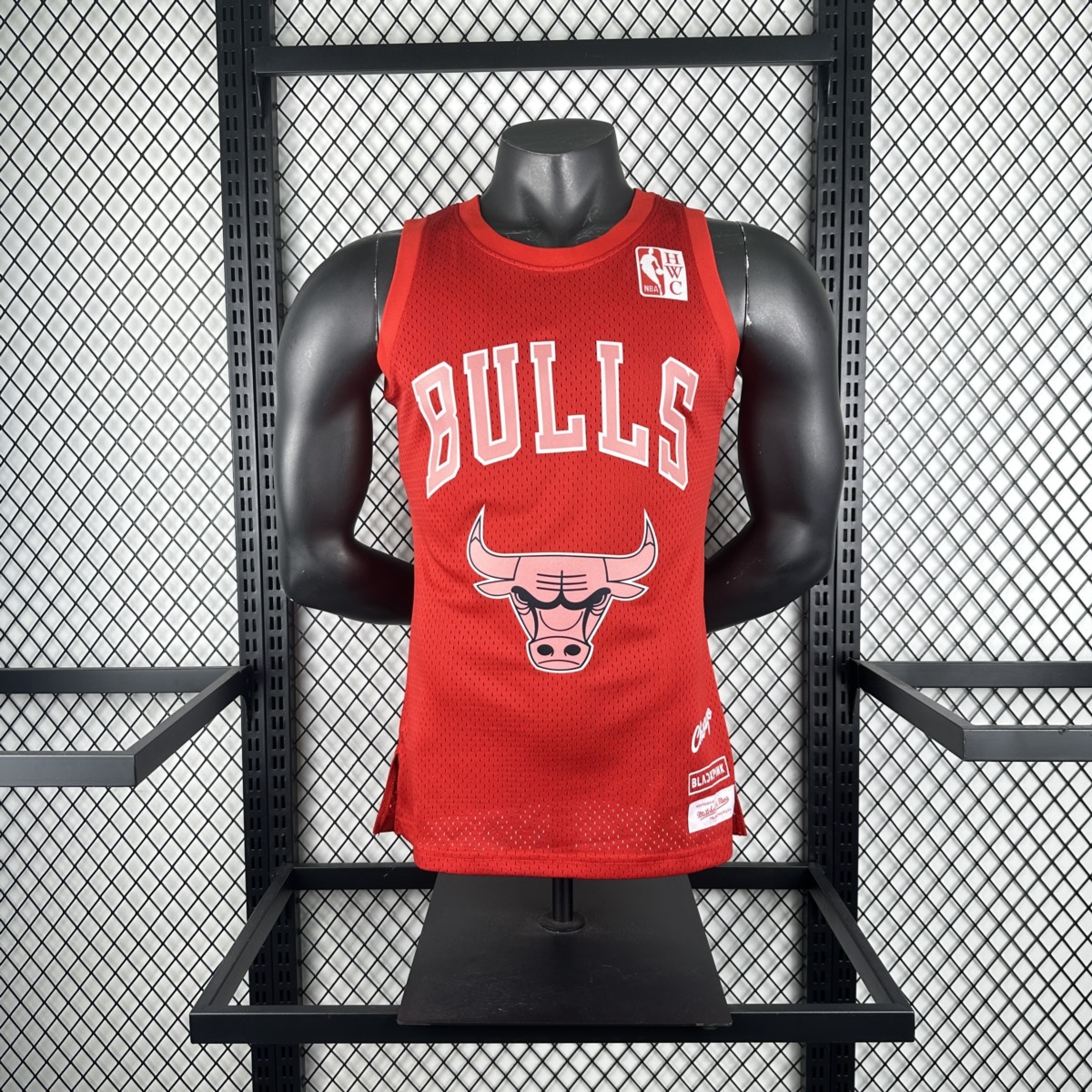 NBA Chicago Bulls Chicago Bulls ×Blackpink Jersey #16